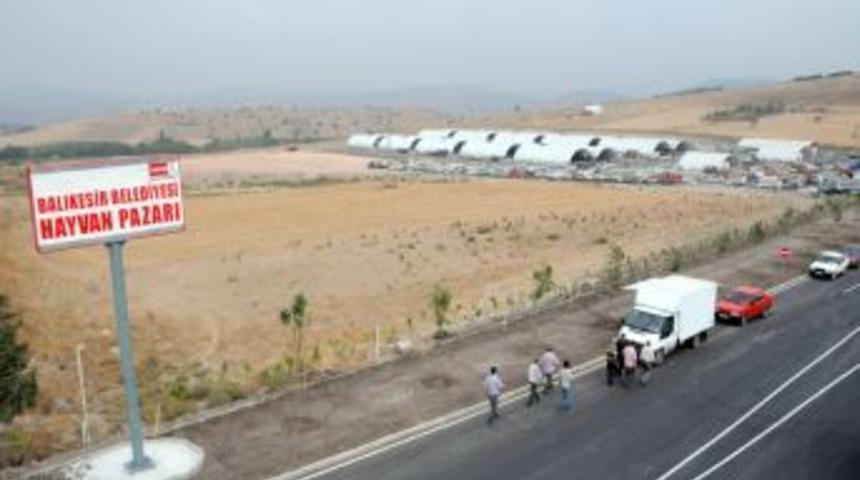 Balıkesir'de 17 K&ouml;y Şap Sebebiyle Karantinaya Alındı