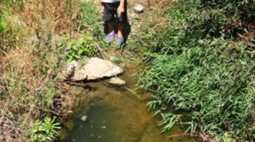 &Ouml;l&uuml;deniz'de Foseptik Suyunun Dışarı Boşaltıldığı Iddiası