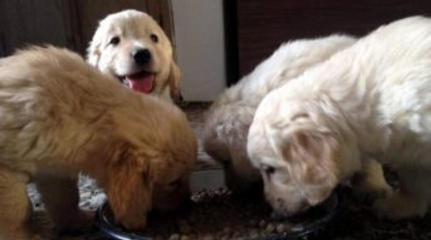 Aydın Belediyesi&rsquo;nin Yapamadığını İncirliova Yaptı