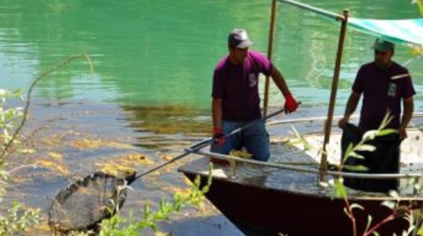 Manavgat Belediyesi&rsquo;nden Irmak Temizliği