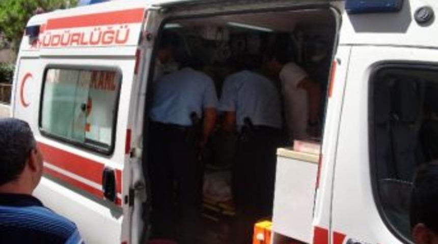 S&ouml;ke&rsquo;de &Ccedil;ocukların G&uuml;vercin Sevgisi Az Kalsın &Ouml;ld&uuml;r&uuml;yordu