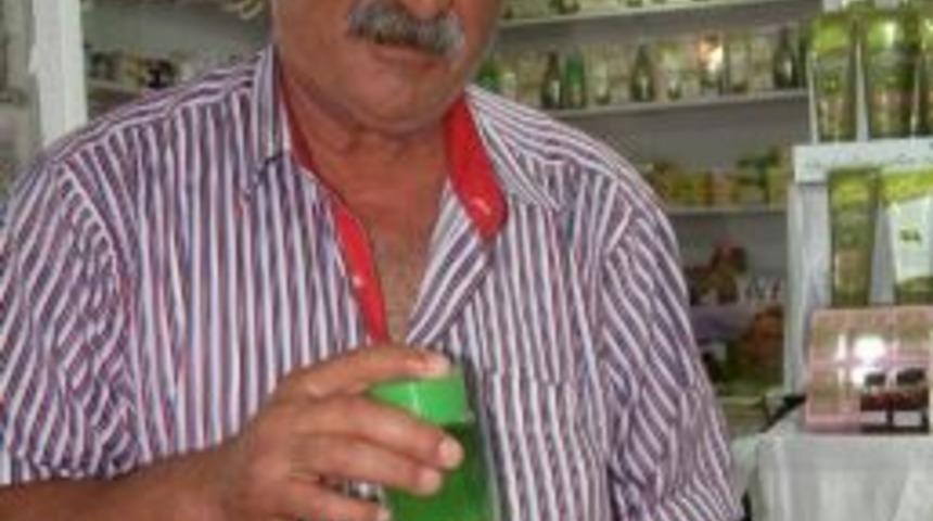 Burhaniye&rsquo;de Zeytin &Ccedil;i&ccedil;eği Kolonyası İlgi G&ouml;rd&uuml;