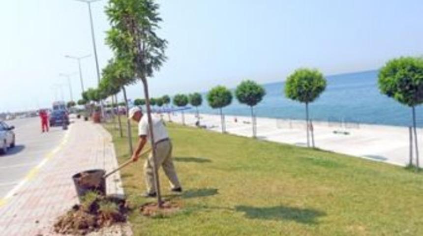 Beylikd&uuml;z&uuml; sahili festivale hazır