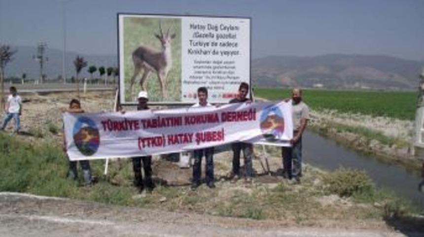 Dağ Ceylanları I&ccedil;in Tanıtım Atağı