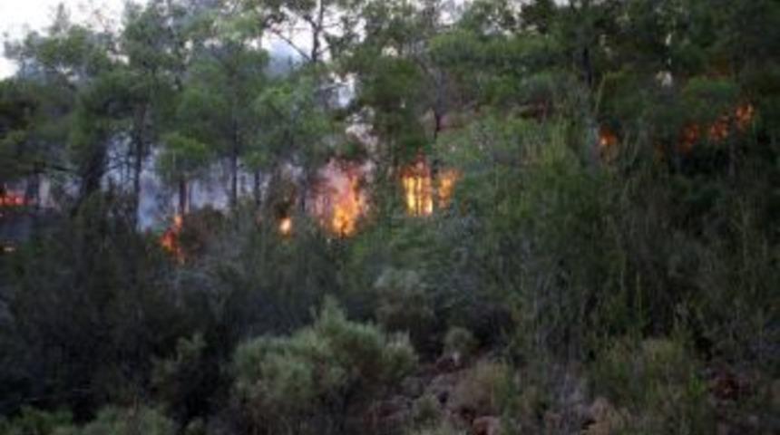 Kemer'de Orman Yangını