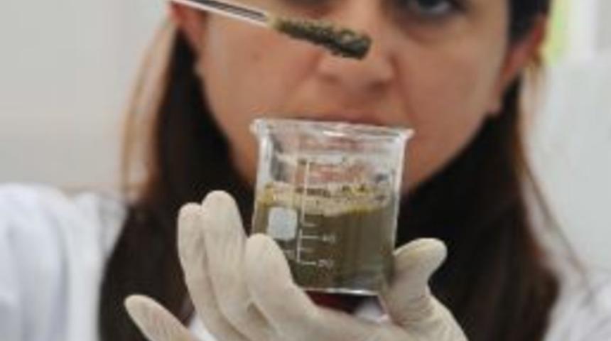 En B&uuml;y&uuml;k Yatırım Toprağa