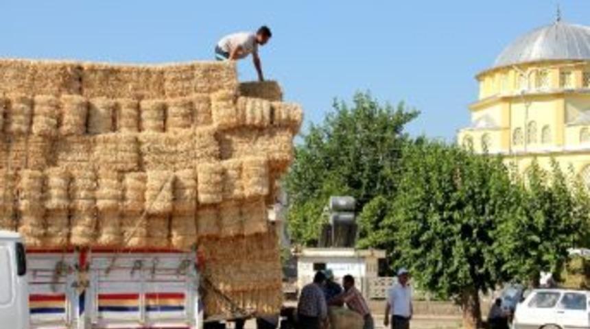 Saman Fiyatları Tırmaşa Ge&ccedil;ti