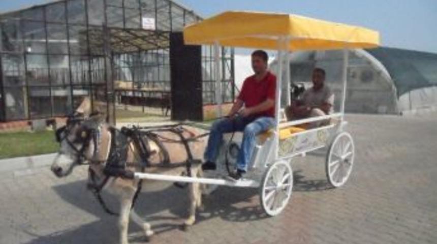 G&ouml;lbaşı Parkı&rsquo;na Nostaljik Eşek Arabaları