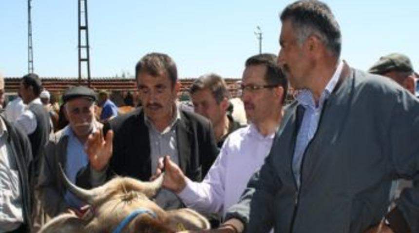 Yaman, Hayvan Pazarını Ziyaret Etti