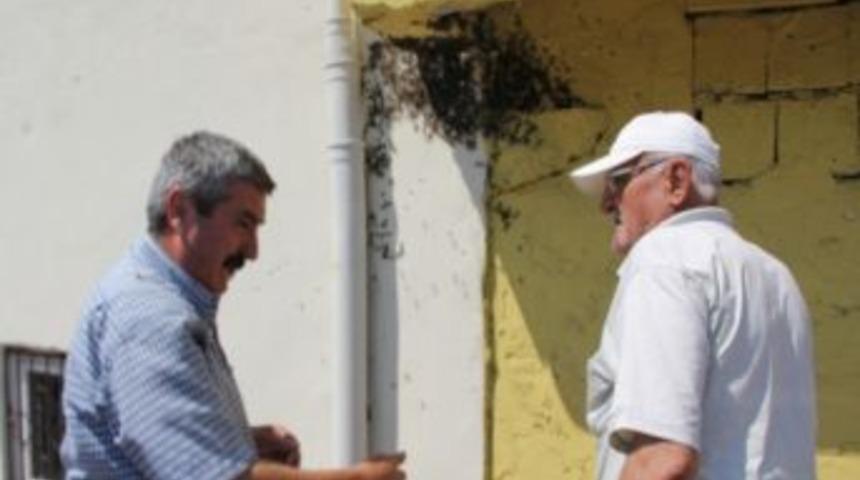 Kovandan Ka&ccedil;an Arılar, Vatandaşları Korkuttu