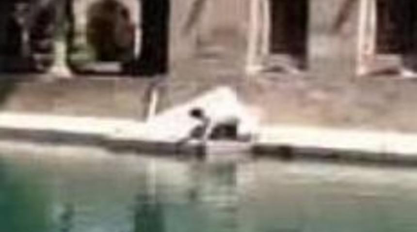 Balıklıg&ouml;l&rsquo;e kedi d&uuml;şt&uuml;