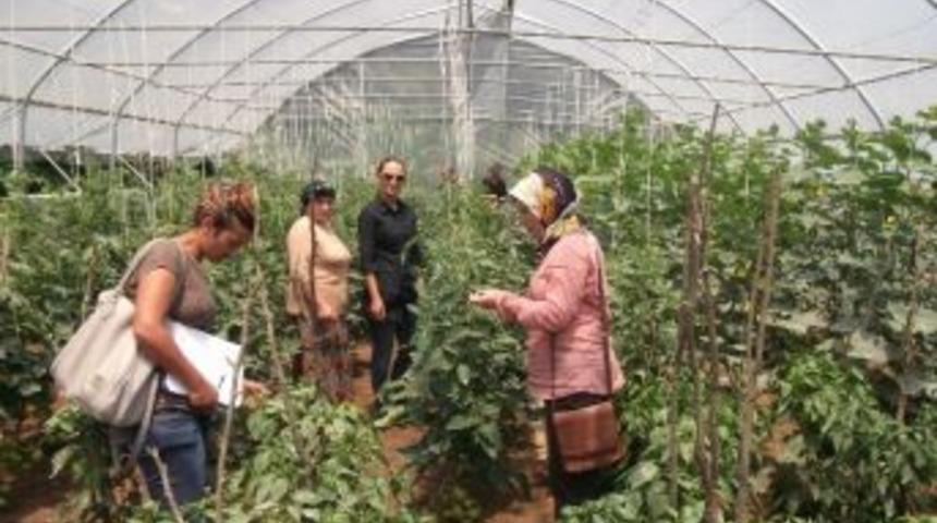 Ordu&rsquo;da Seracılara Hastalık Eğitimi