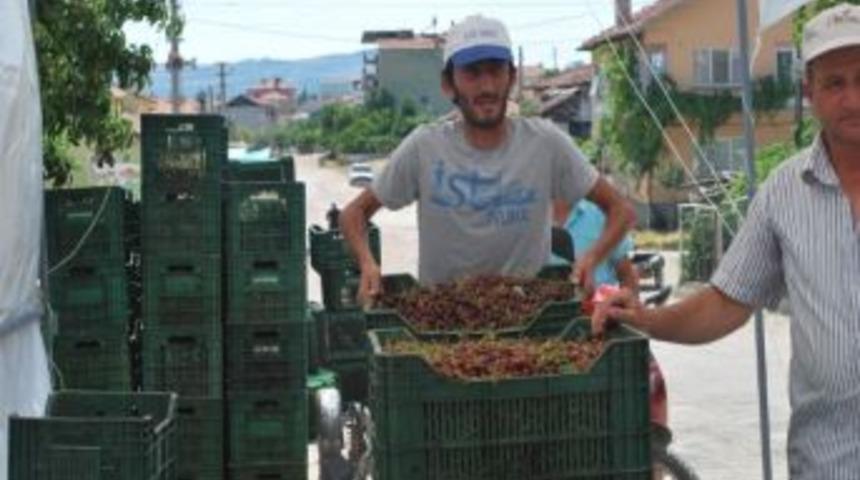 Vişne, Enflasyon Verilerini Alt &Uuml;st Etti