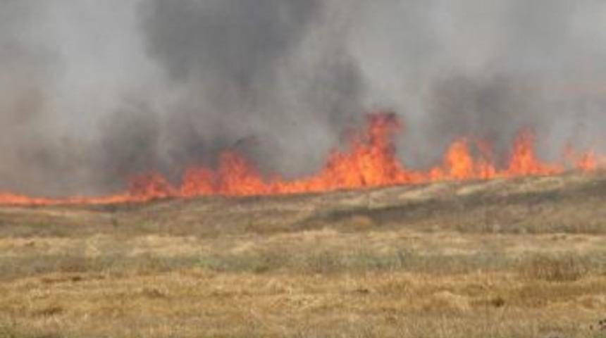 Anız Yangınları Verimi D&uuml;ş&uuml;r&uuml;yor