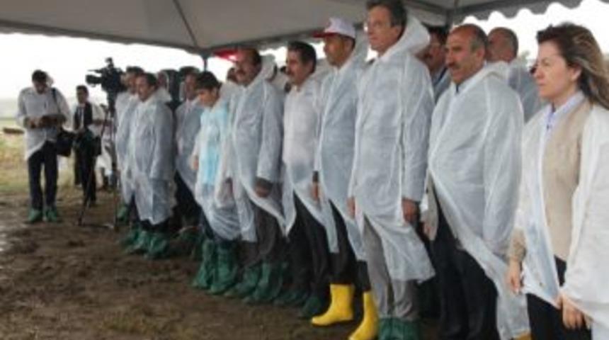 İş Bankası'nın 69&rsquo; Uncu Ormanı Ağrı İbrahim &Ccedil;e&ccedil;en &Uuml;niversitesi Kamp&uuml;s&uuml;ne Kuruldu