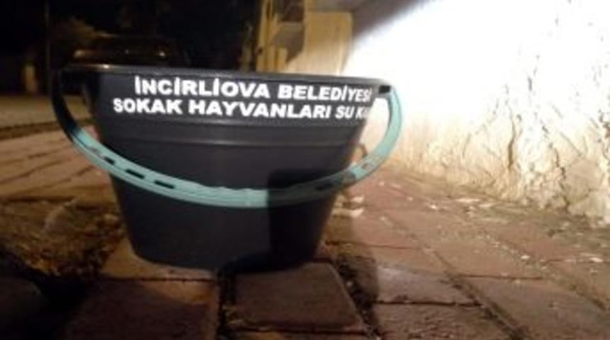 İncirliova 19 Yaptı Aydın Belediyesi 7 Yapacak