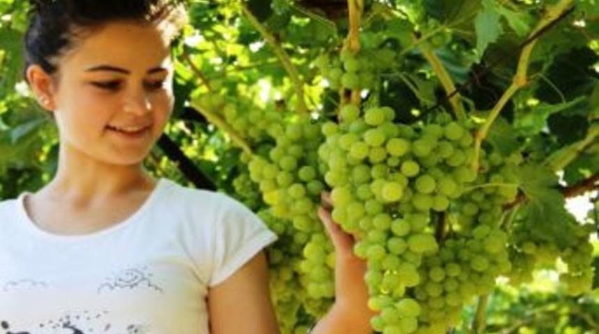 &Uuml;z&uuml;m Şifa Kaynağı