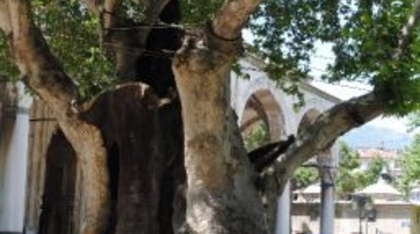 526 Yıllık Camiyle Yaşıt İkiz &Ccedil;ınarlar