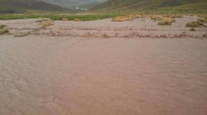 &Ccedil;aldıran'da Sel Binlerce Bağ Otunu Kullanılmaz Hale Getirdi