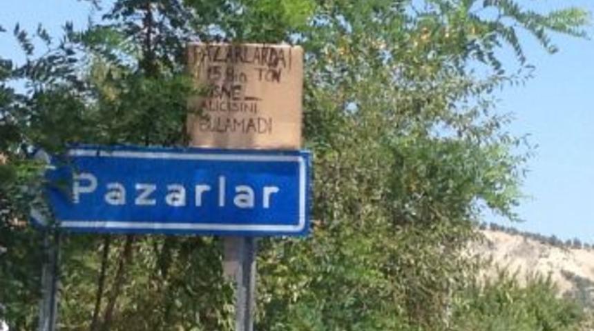 15 Bin Ton Vişne Alıcısını Bulamadı