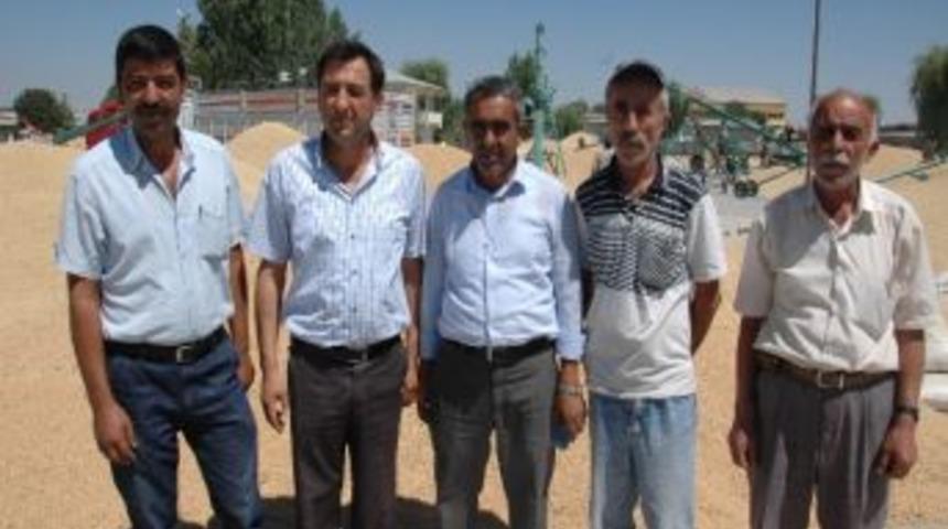 Elbistan&rsquo;da Buğday Hasadı Başladı