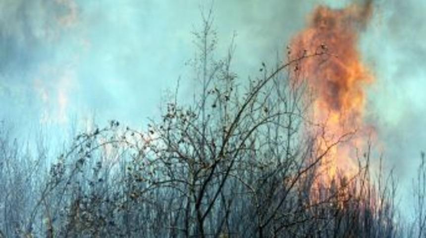 Sıcaklar Orman Yangınına Sebep Oldu