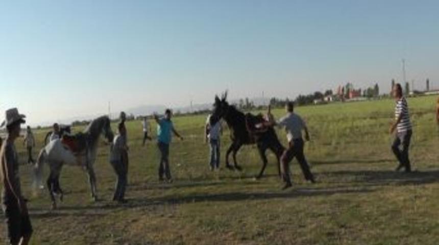 Beyşehir&rsquo;de Rahvan Atlar Yarıştı