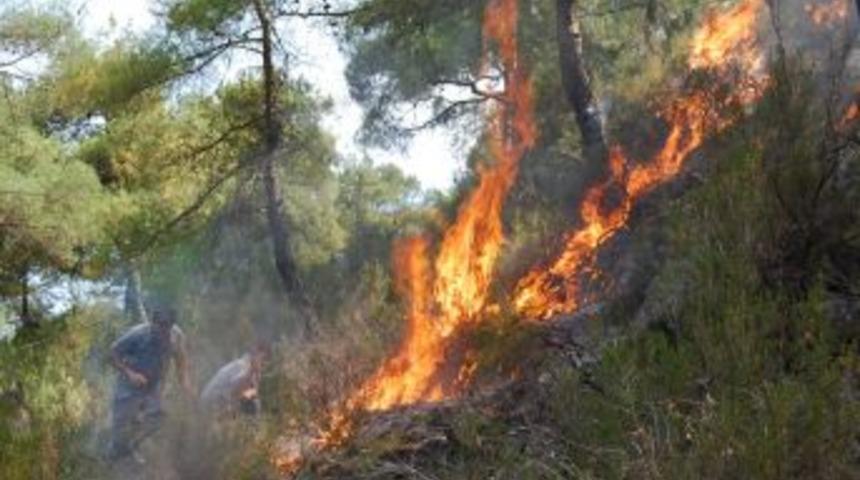 Kontrol Altına Alınan Yangın Yeniden Başladı