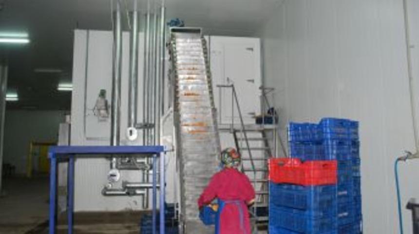 Pazarlar'daki Entegre Soğuk Hava Tesislerine Ani Şoklama &Uuml;nitesi Kuruldu