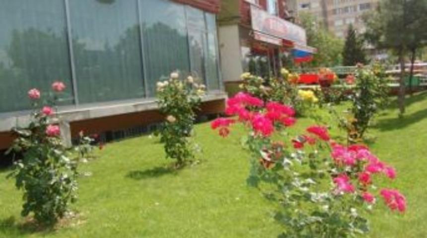 Kocasinan&rsquo;da&lsquo;yeşil Bah&ccedil;e G&uuml;zel &Ccedil;evre&rsquo; Yarışması