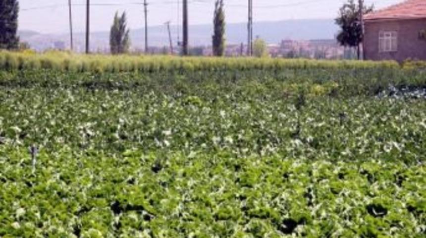 Tepebaşı Ziraat Odası Başkanı S&uuml;leyman Buluşan: