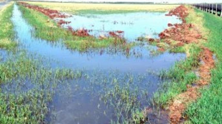 Bilin&ccedil;siz Sulama B&ouml;lgeyi Tehdit Ediyor