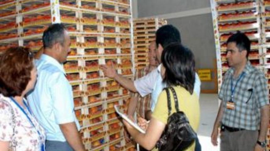 29 Gıda Firmasına 72 Bin Tl Ceza Kesildi