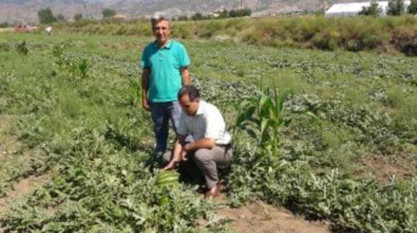 &Ccedil;ift&ccedil;i Ziyareti