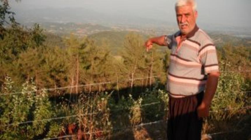 Yenig&uuml;n'de 'tapulu Arazi' Sorunu