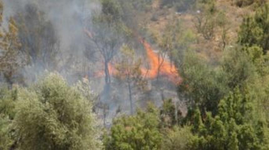 Saklıkent&rsquo;teki Orman Yangını Korkuttu