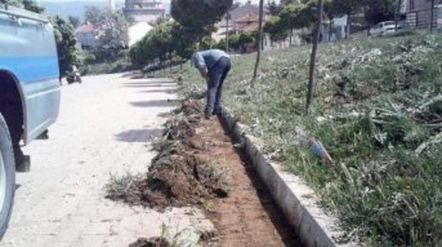 Pazaryeri&rsquo;nde &Ccedil;evre Temizliği