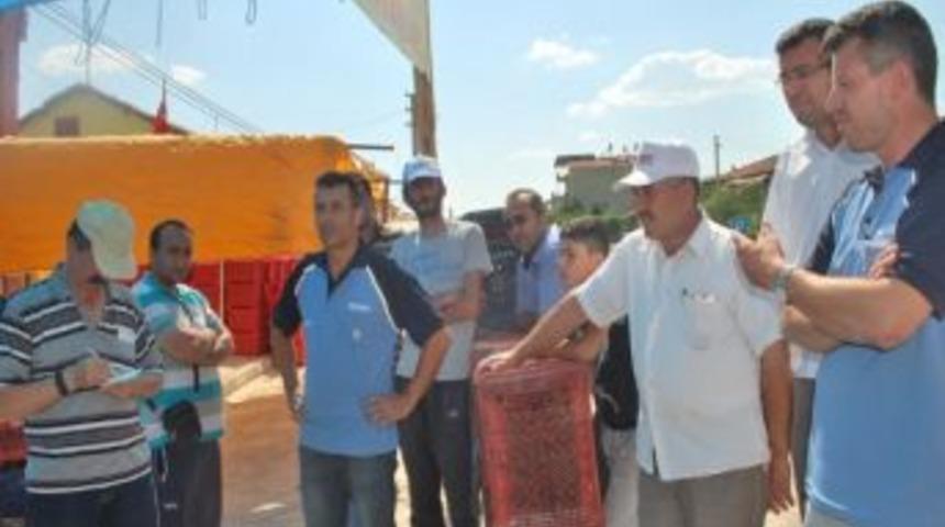 Vişne Toplamama Boykotu İşe Yaramadı