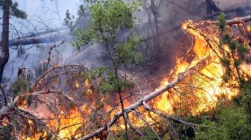 Banaz'daki Yangın Kontrol Altına Alınamıyor