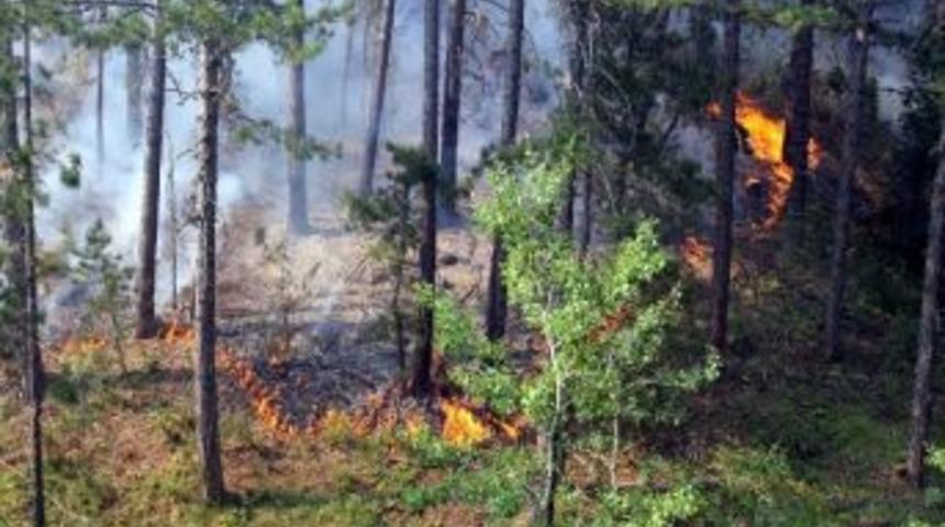 Uşak&rsquo;ın Banaz İl&ccedil;esindeki Orman Yangını Kontrol Altına Alındı