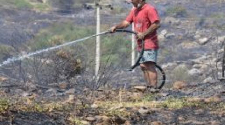 En Sıcak Dayanışma