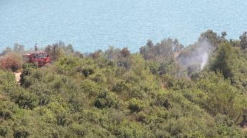 Hızlı M&uuml;dahale Orman Yangınını &Ouml;nledi