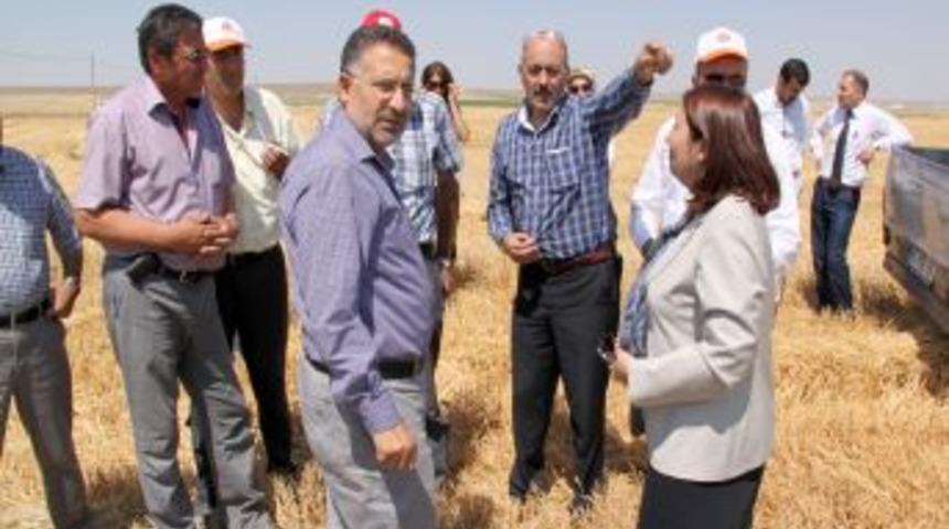 Dere Islahı 5 Milyon Liralık &Uuml;r&uuml;n Kaybını &Ouml;nleyecek