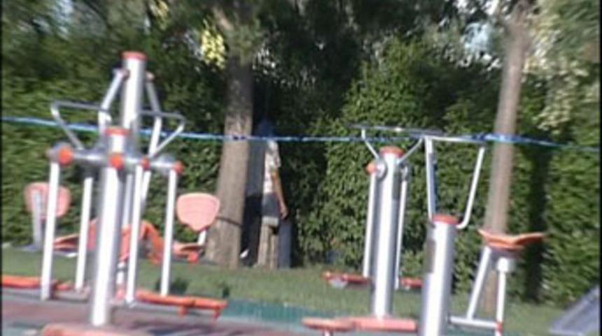 Beyoğlu'nda ağaca asılı ceset bulundu