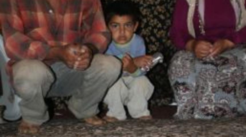 Yılanlı Evde Yaşam