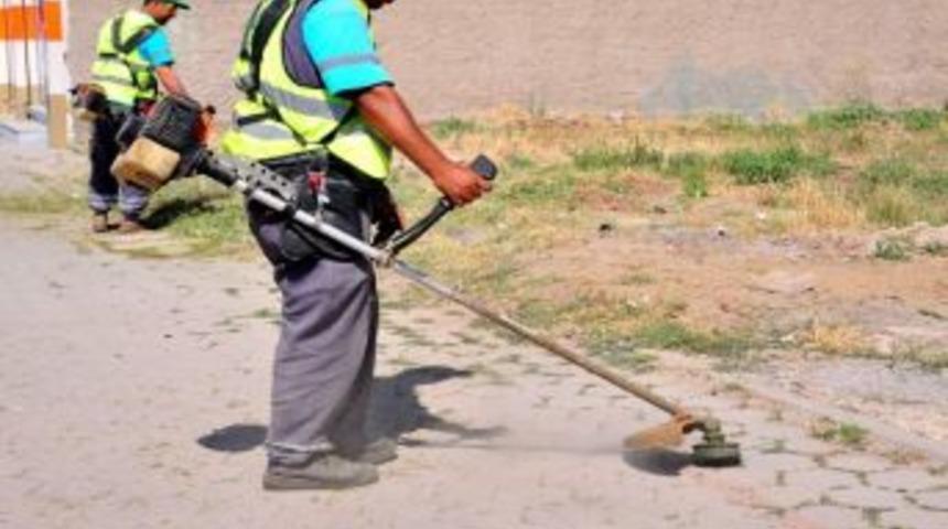 Tepebaşı Belediyesi Yabani Otları Temizliyor