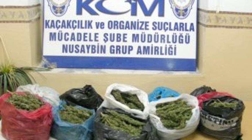 Nusaybin&rsquo;de 11 Kg Esrar Ele Ge&ccedil;irildi