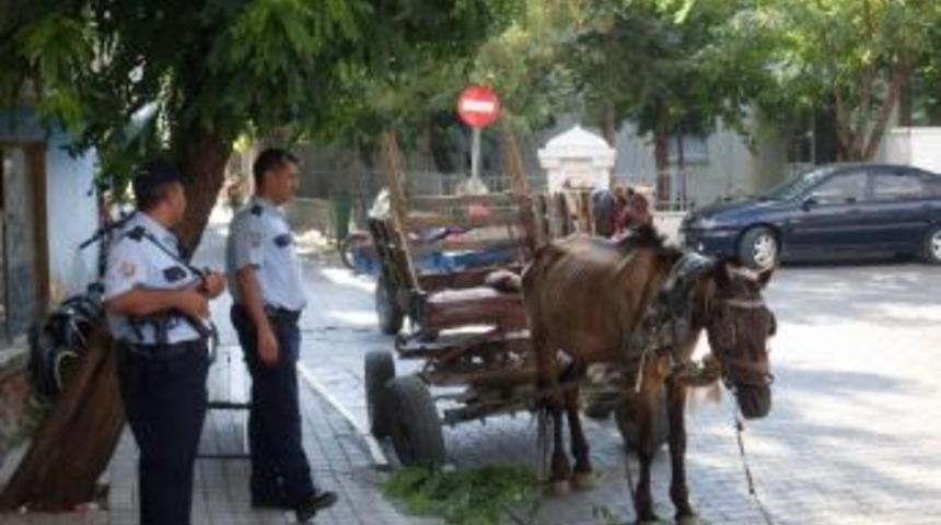 Edremit&rsquo;te At Arabalı K&uuml;&ccedil;&uuml;k Hurdacılara G&ouml;zaltı