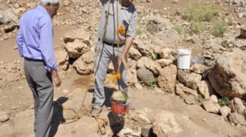 Eşsiz Tarihi Kaya Evleri, Defineciler Tarafından Tahrip Ediliyor