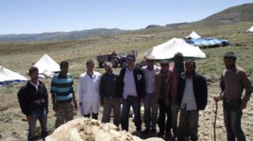 Koyun Ve Ke&ccedil;i &Uuml;retecileri Ziyaret Edilip, Eğitim &Ccedil;alışması Yapıldı